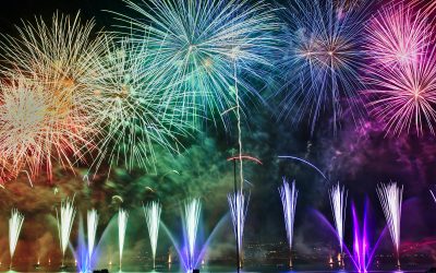 Prepare your dog for the Firework season