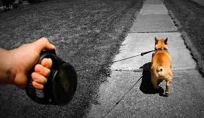 The dangers of retractable leads