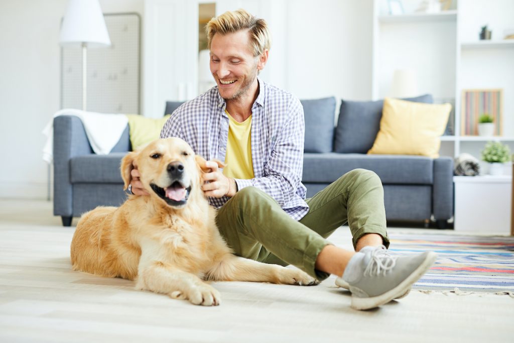Separation anxiety dog with his human playing
