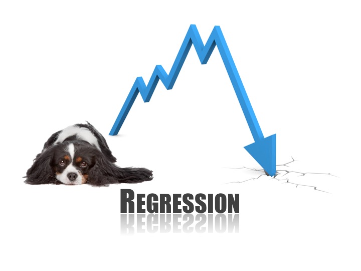 Separation Anxiety regressions are normal! Polite Paws Dog Training