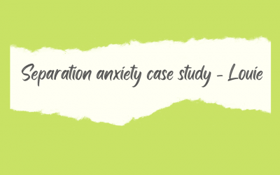 Separation anxiety case study – Louie (French Bulldog)