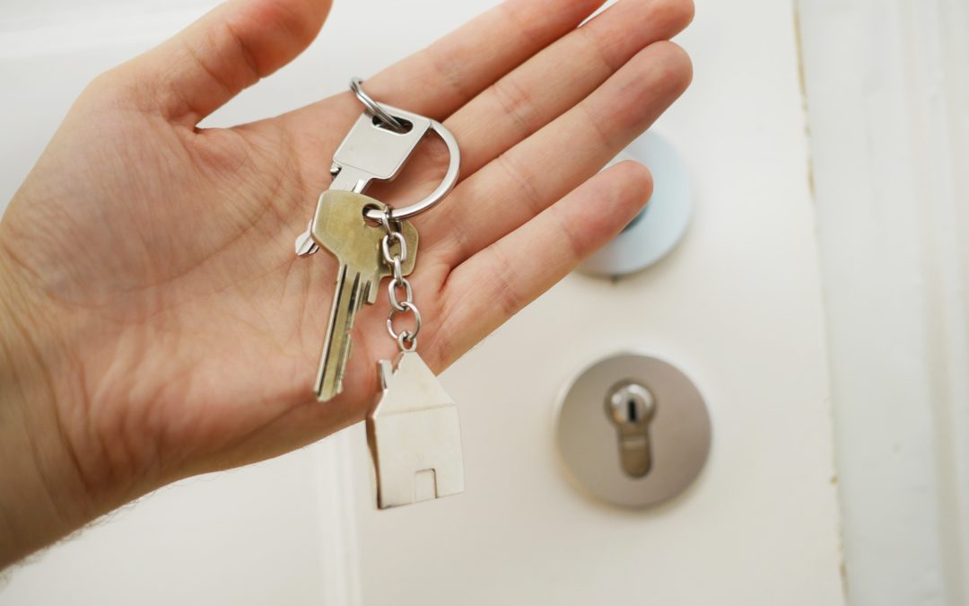 Pre-departure cues in separation anxiety training