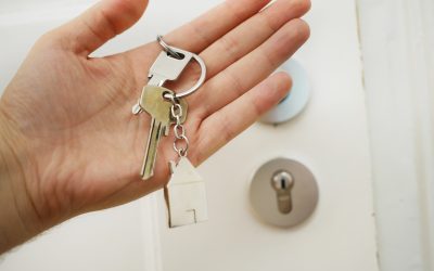 Pre-departure cues in separation anxiety training