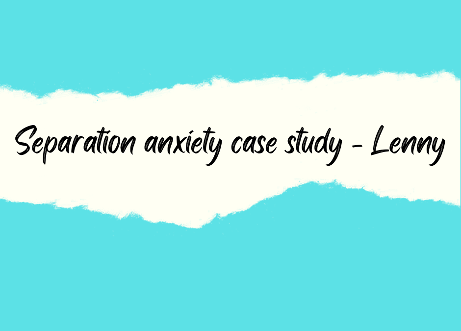 Separation anxiety case study – Lenny (Cavapoochon)